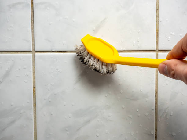 Best Toxic Mold Removal  in Rolling Hills, CA