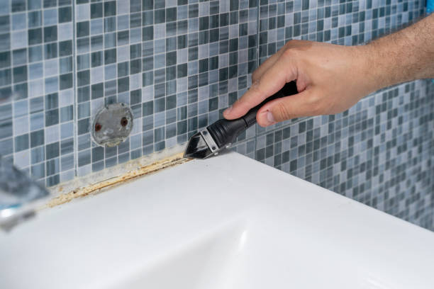 Best Same-Day Mold Removal  in Rolling Hills, CA