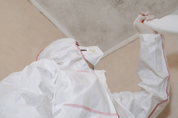 Crawl Space Mold Removal in Rolling Hills, CA
