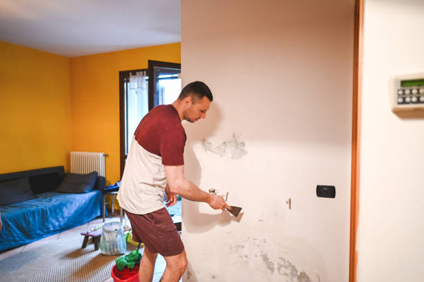 Rolling Hills, CA Mold Removal Company